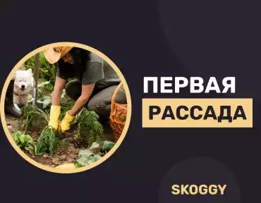 Рассада в марте и апреле Рассада в марте и апреле