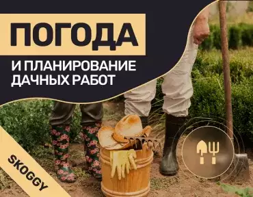 Погода и планирование дачных работ: как читать прогноз